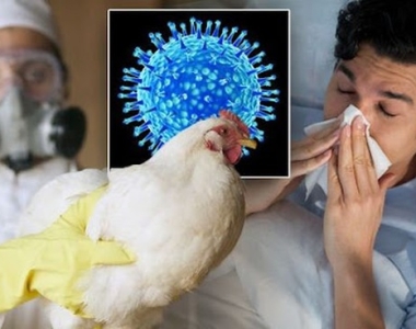 Nước ta ghi nhận trường hợp mắc cúm A (H5N1) thứ 2 kể từ 2014, sau nhiều năm không ghi nhận ca mắc trên người