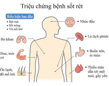 CHĂM SÓC NGƯỜI BỆNH SỐT RÉT